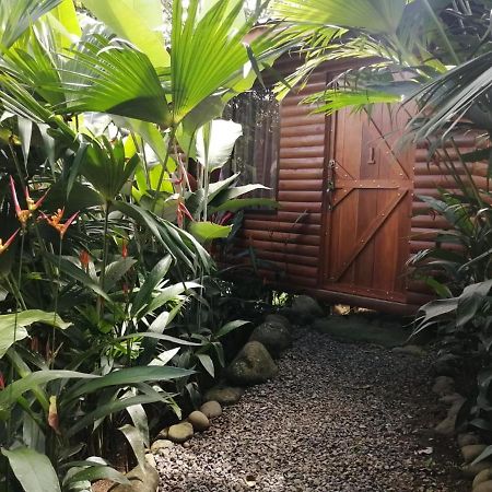 Arenal Rustic Lodge Alajuela Ngoại thất bức ảnh