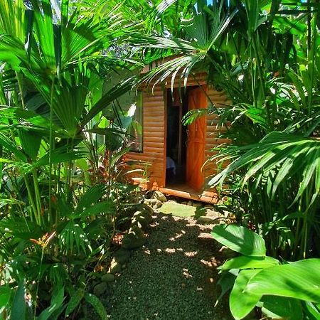 Arenal Rustic Lodge Alajuela Ngoại thất bức ảnh