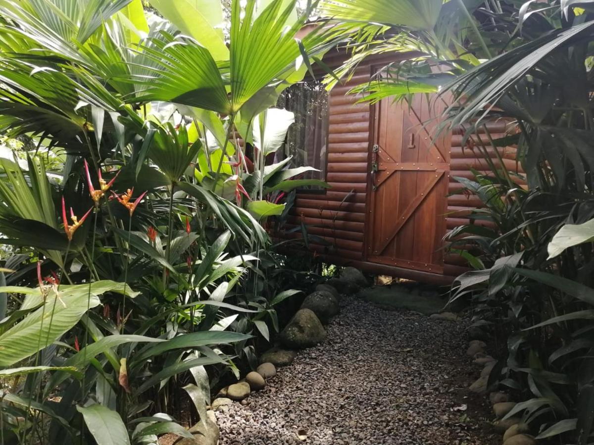 Arenal Rustic Lodge Alajuela Ngoại thất bức ảnh