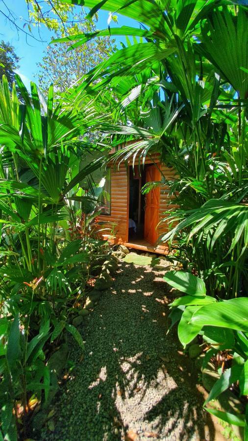 Arenal Rustic Lodge Alajuela Ngoại thất bức ảnh