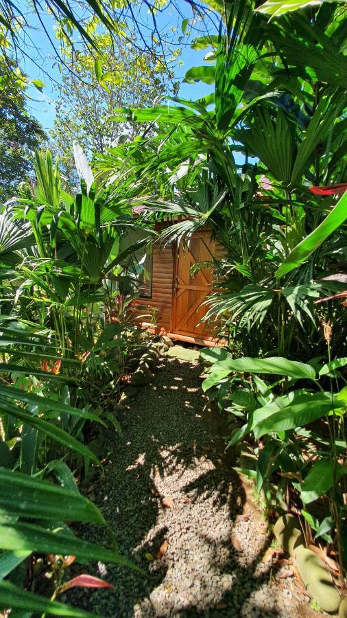 Arenal Rustic Lodge Alajuela Ngoại thất bức ảnh