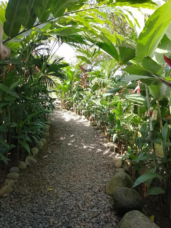 Arenal Rustic Lodge Alajuela Ngoại thất bức ảnh
