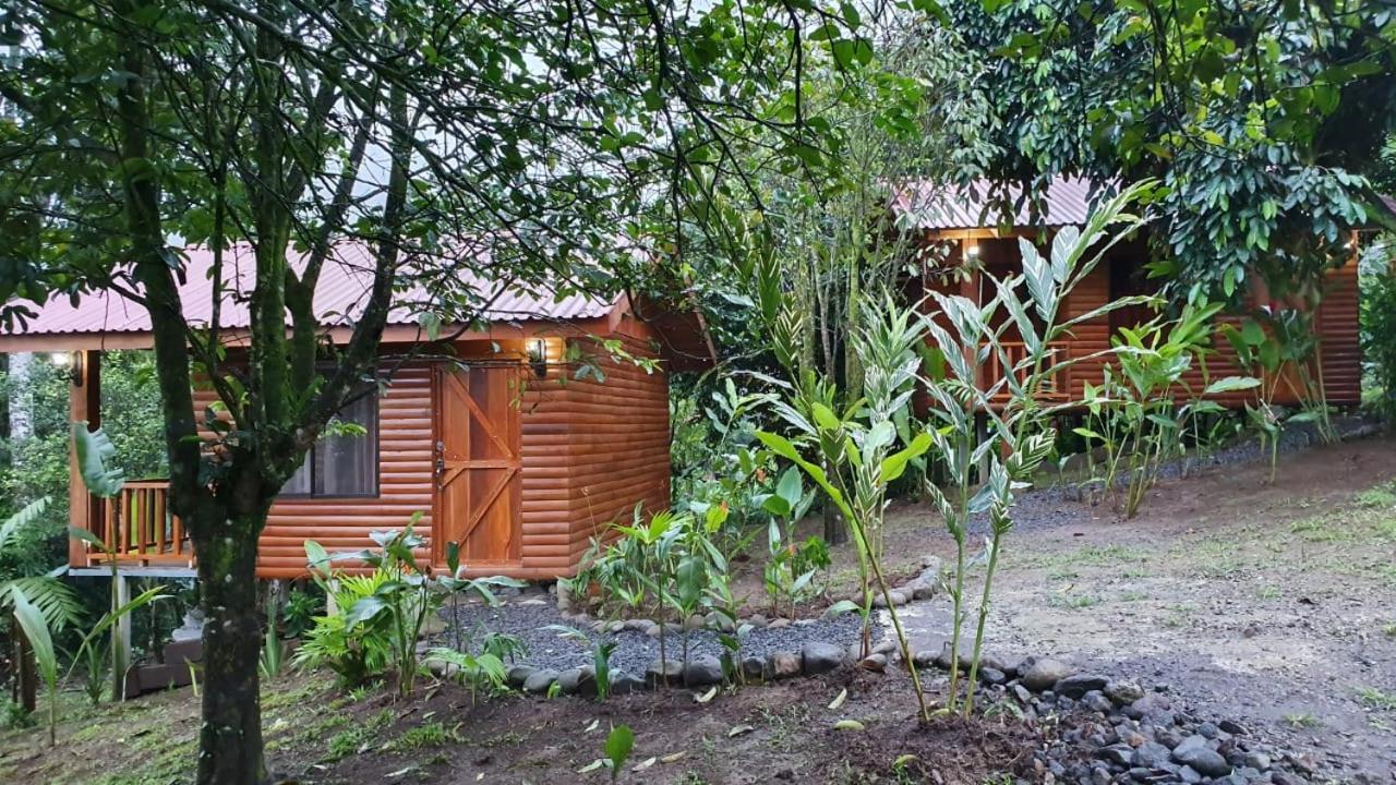 Arenal Rustic Lodge Alajuela Ngoại thất bức ảnh